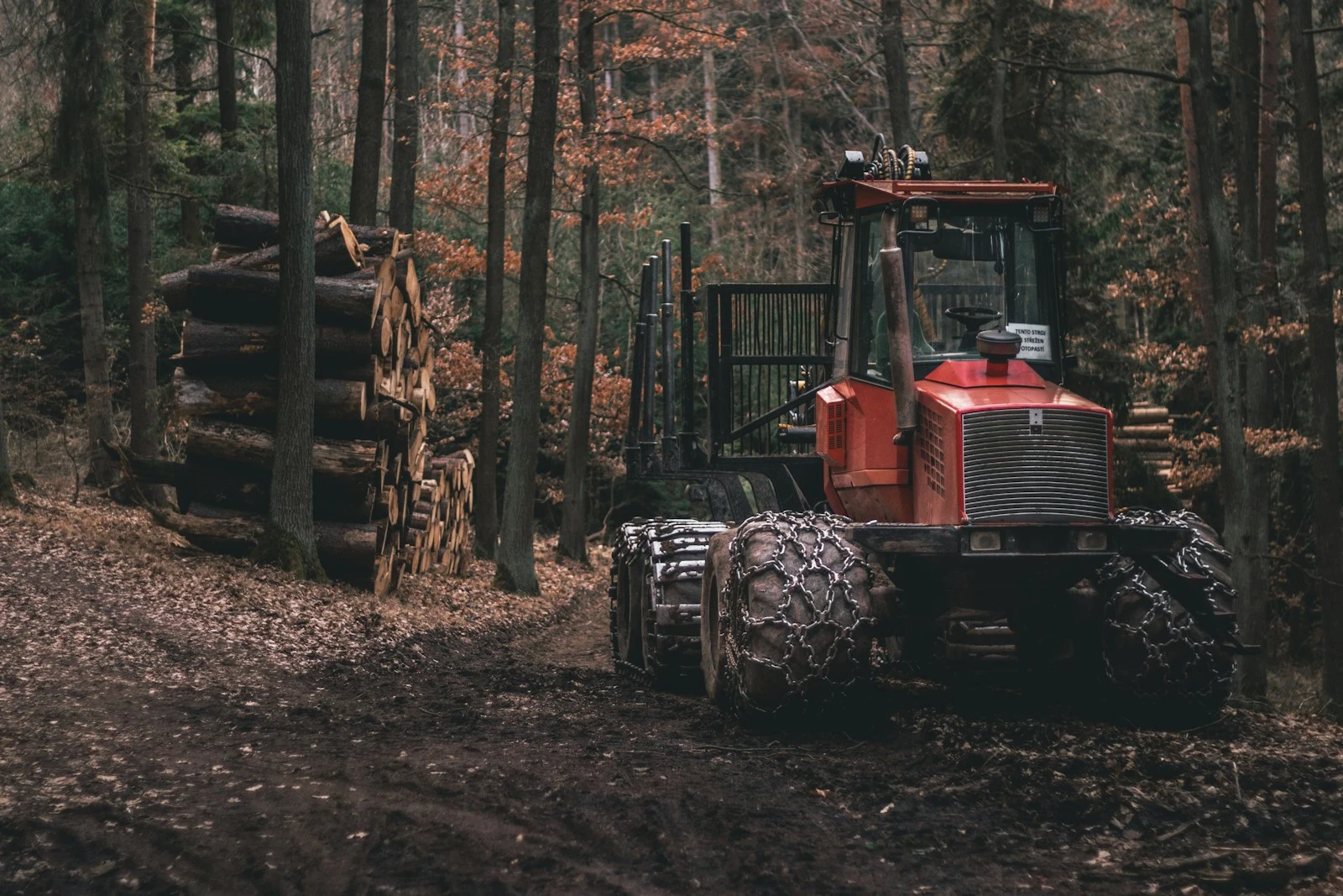 Red tractor with mulching attachment clearing wooded property