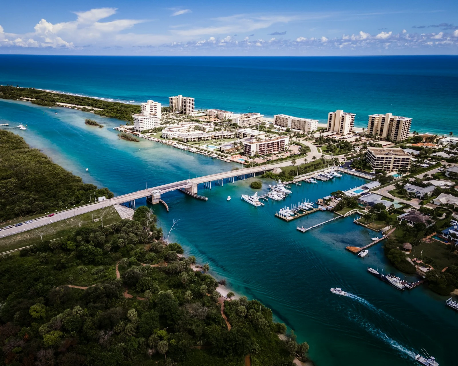 Aerial view of Casselberry, Florida neighborhood with lush tree canopy