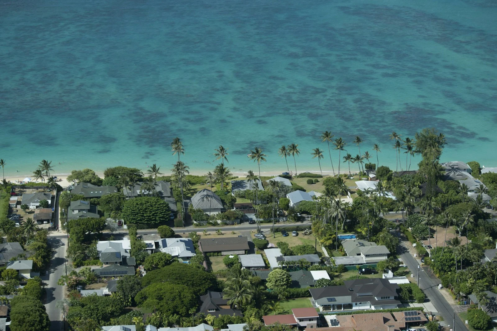 Aerial view of Ormond Beach, Florida coastline with lush tree canopy