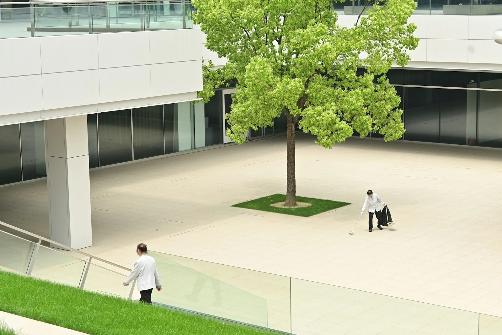 Well-maintained commercial courtyard with healthy trees