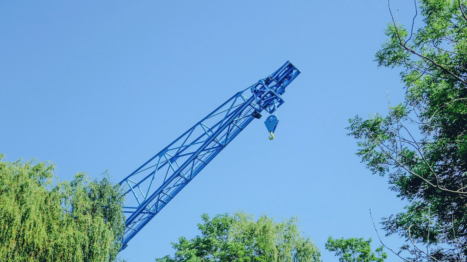 Blue crane operating above trees during professional tree removal