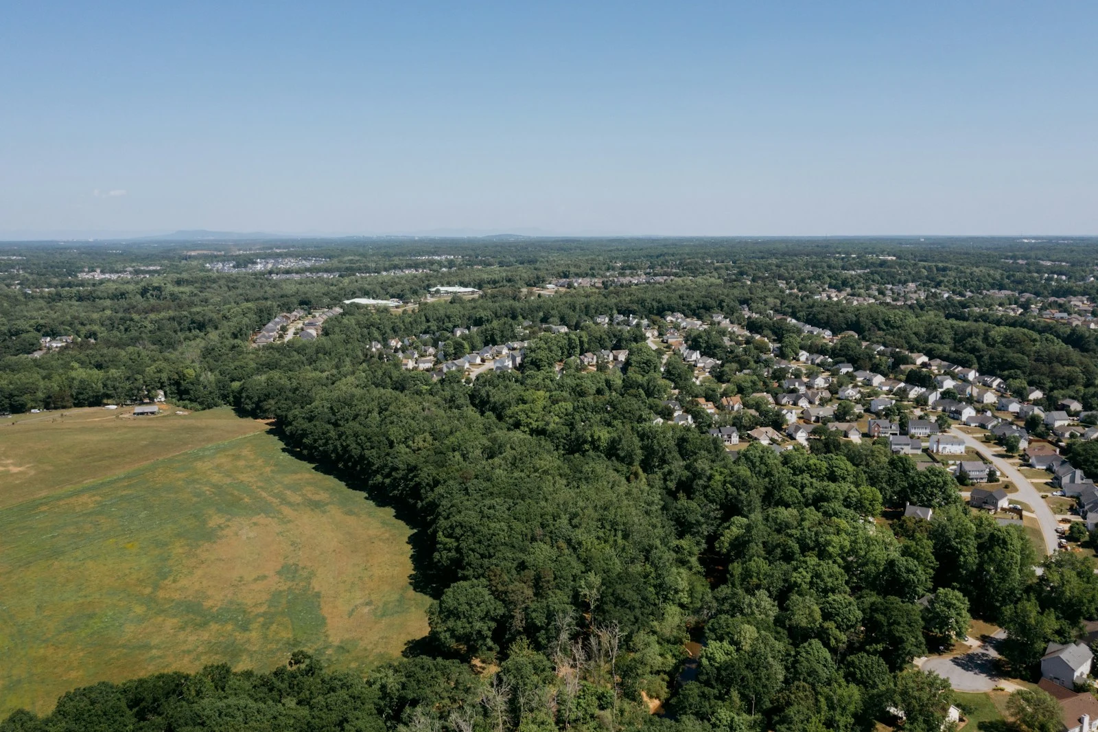 Aerial view of suburban homes nestled among trees in Deltona