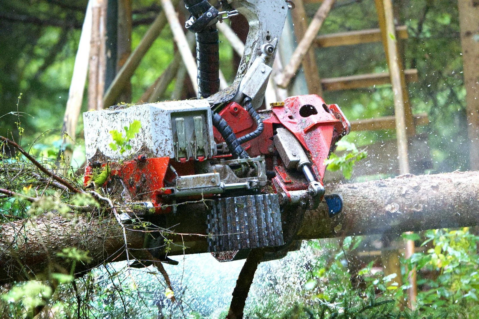Storm-fallen tree trunk resting against a house before emergency crane removal