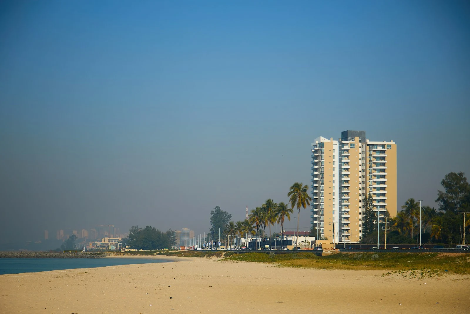 Daytona Beach coastal area with palm trees and beachfront buildings