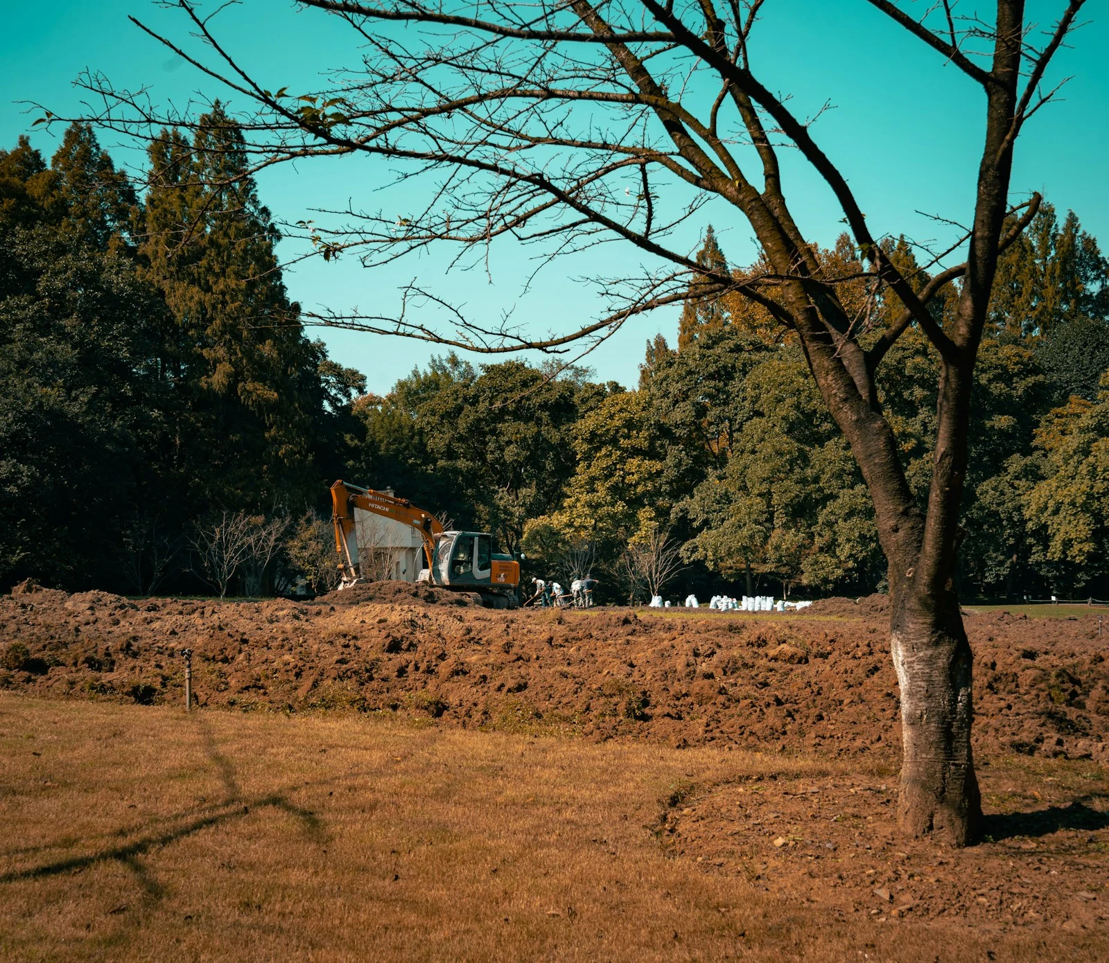 Tractor parked in a field near a tree — agricultural land clearing