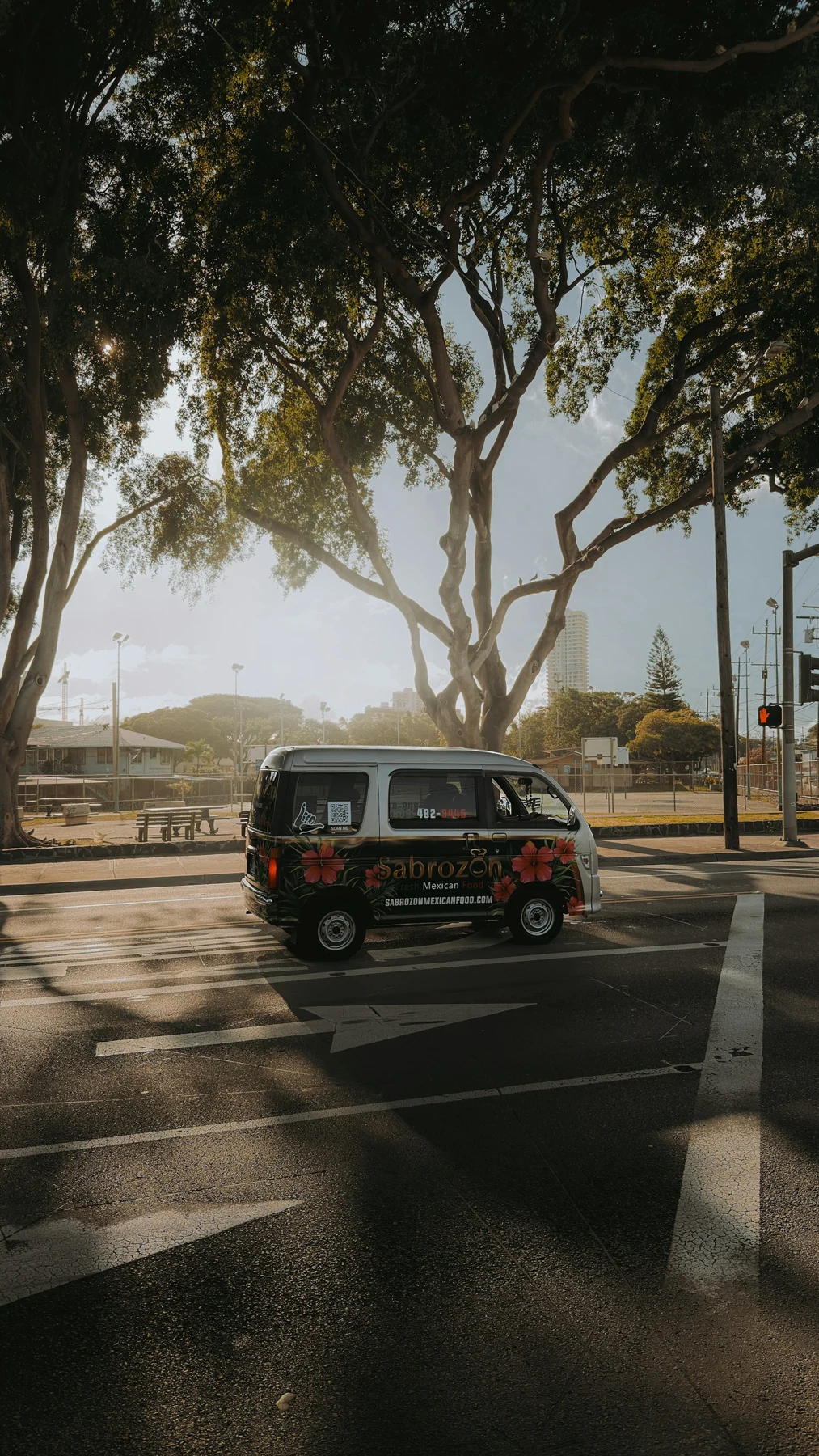 Silver van on a sunny Florida road in Oviedo
