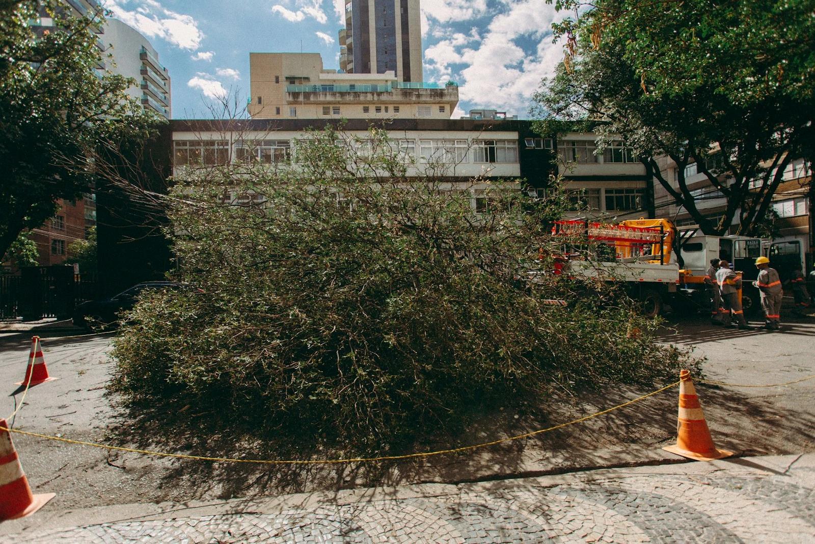 Fallen tree blocking street after storm in Orange City