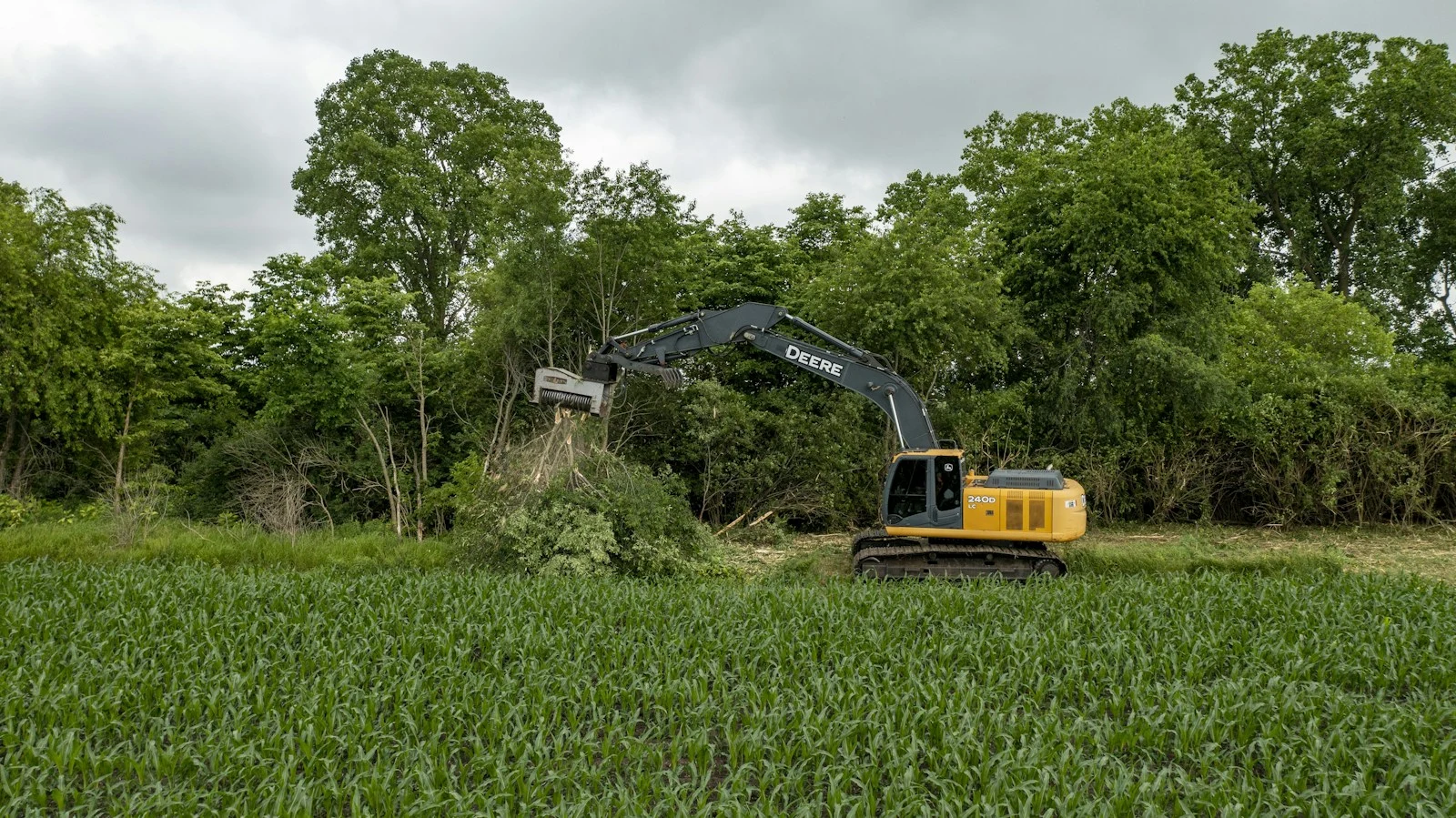 Heavy equipment clearing land for property preparation