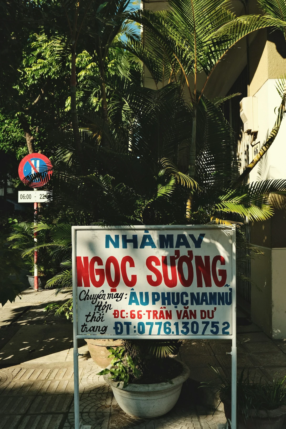 Street with palm trees and sign in Winter Park