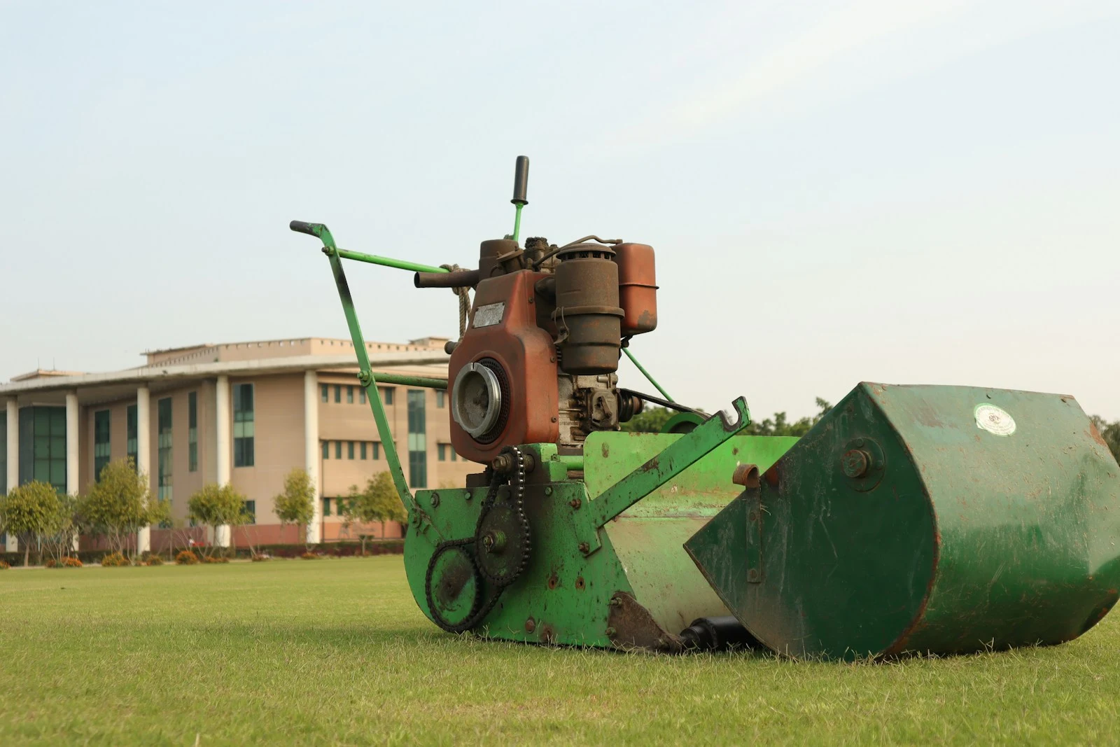 Clean flat lawn area after professional stump grinding