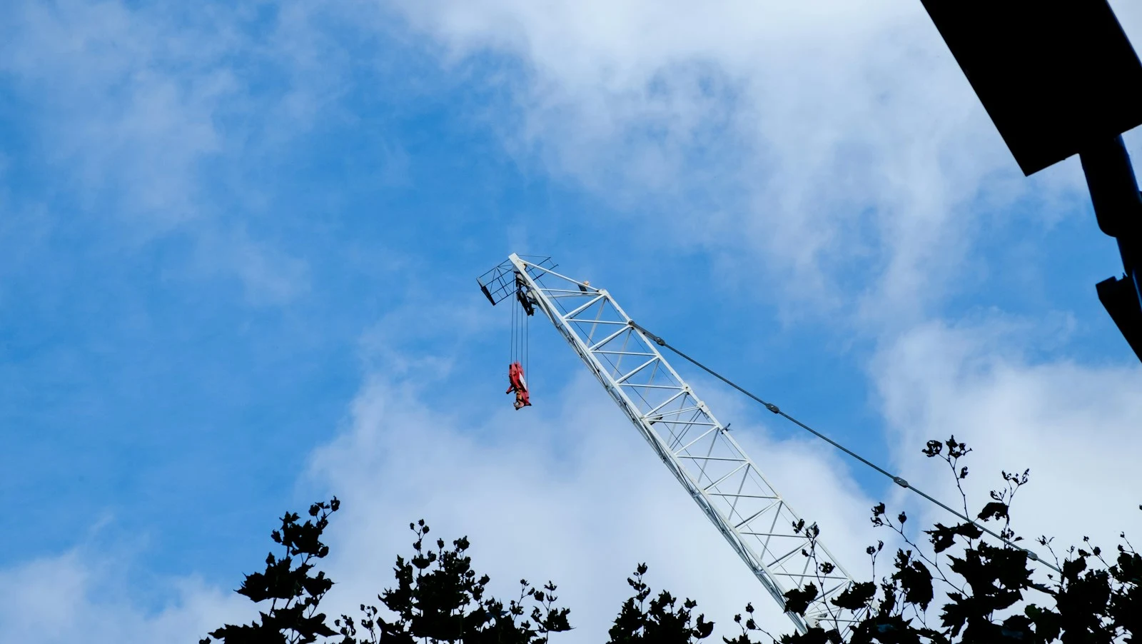 Clean cleared yard after crane-assisted tree removal completed successfully