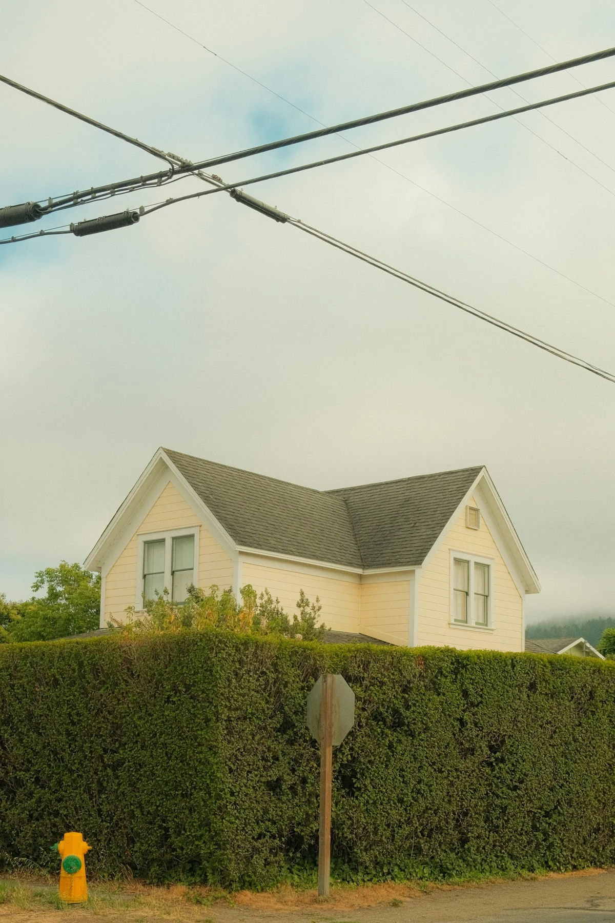 Yellow house behind a tall green hedge in a residential neighborhood