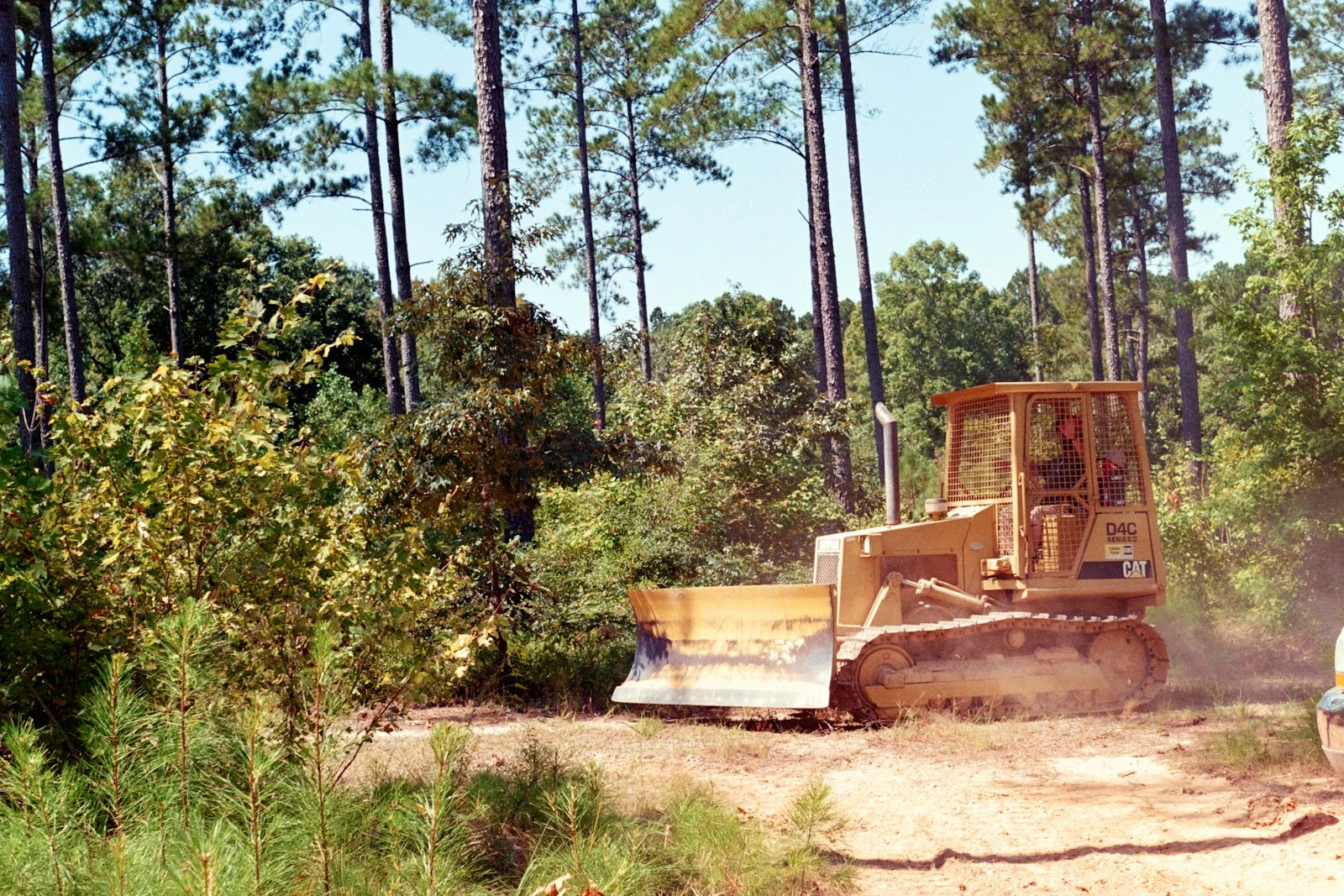 Bulldozer clearing brush in a wooded area