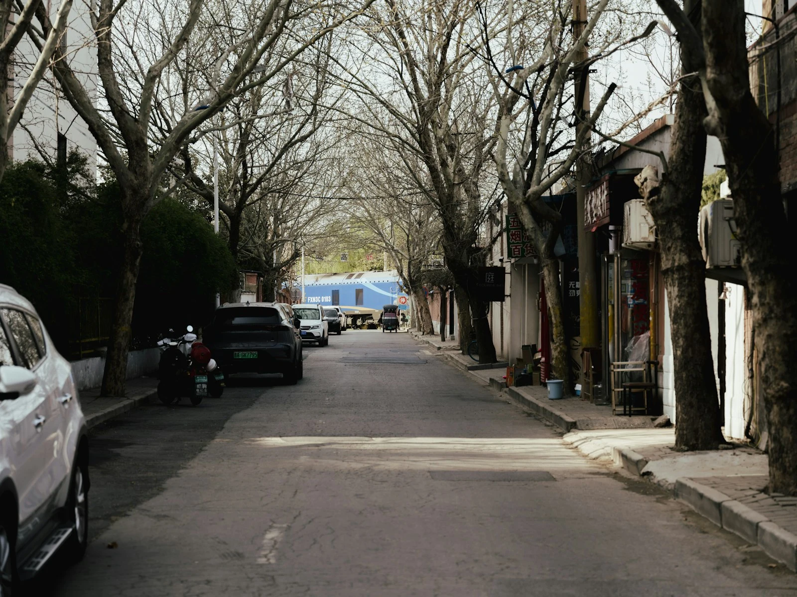 Bare trees lining a quiet Deltona residential street
