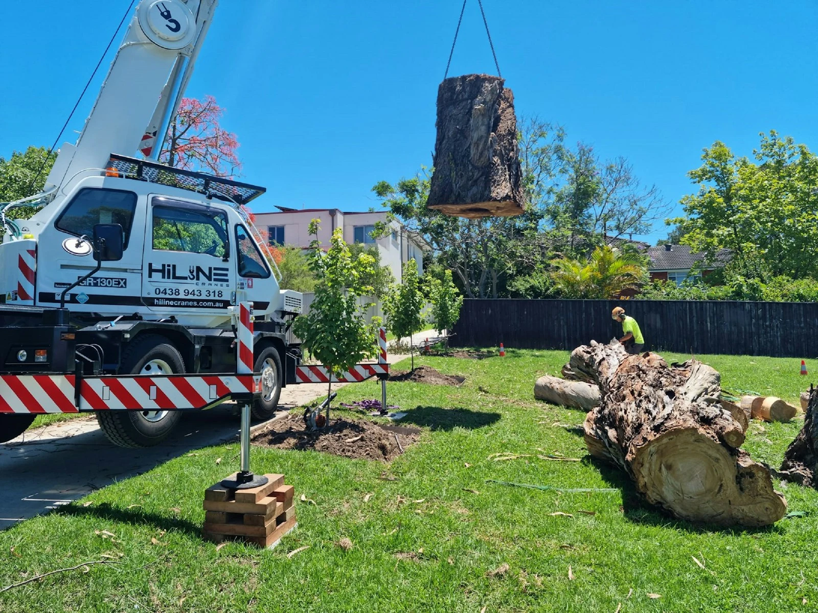 Large decayed water oak next to pool requiring crane removal in Deltona