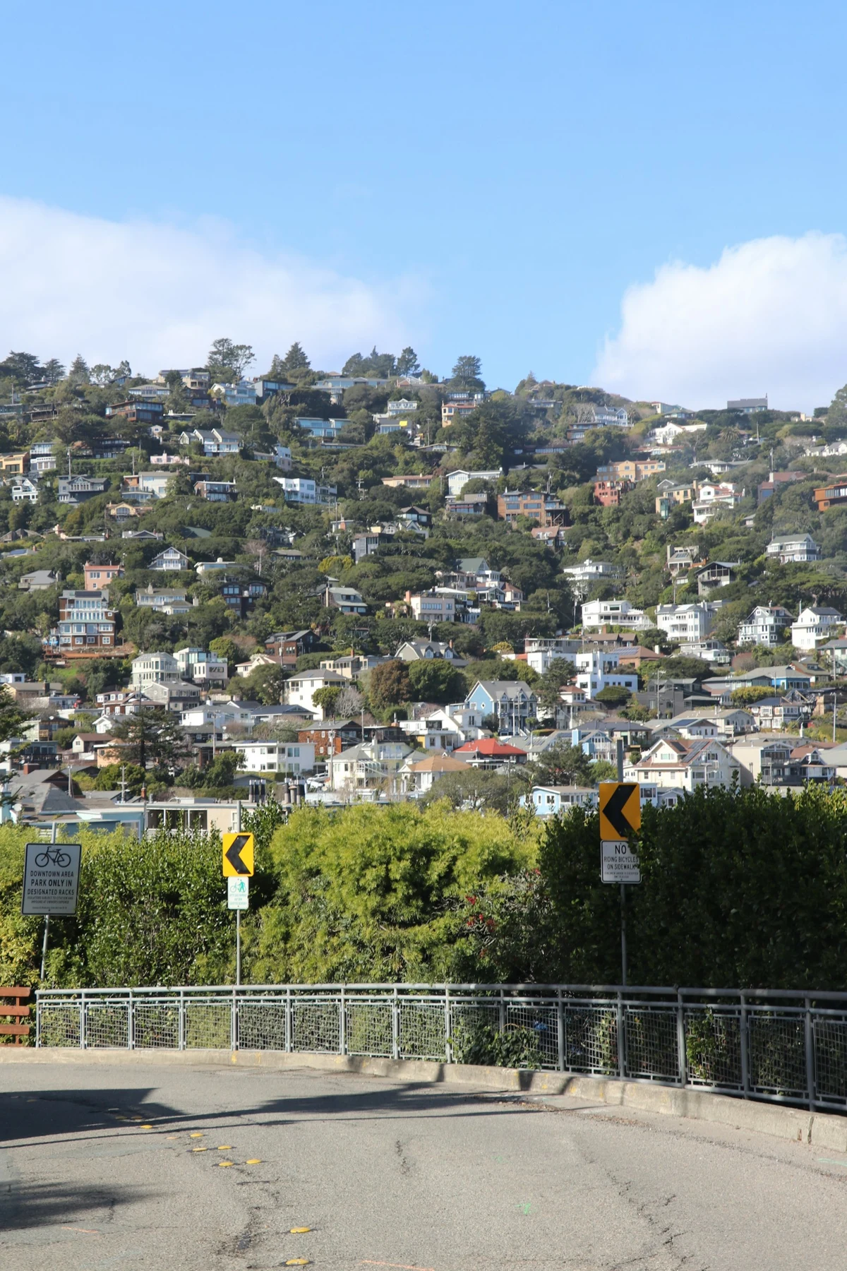 Houses clustered on a steep, tree-covered hillside in DeLand