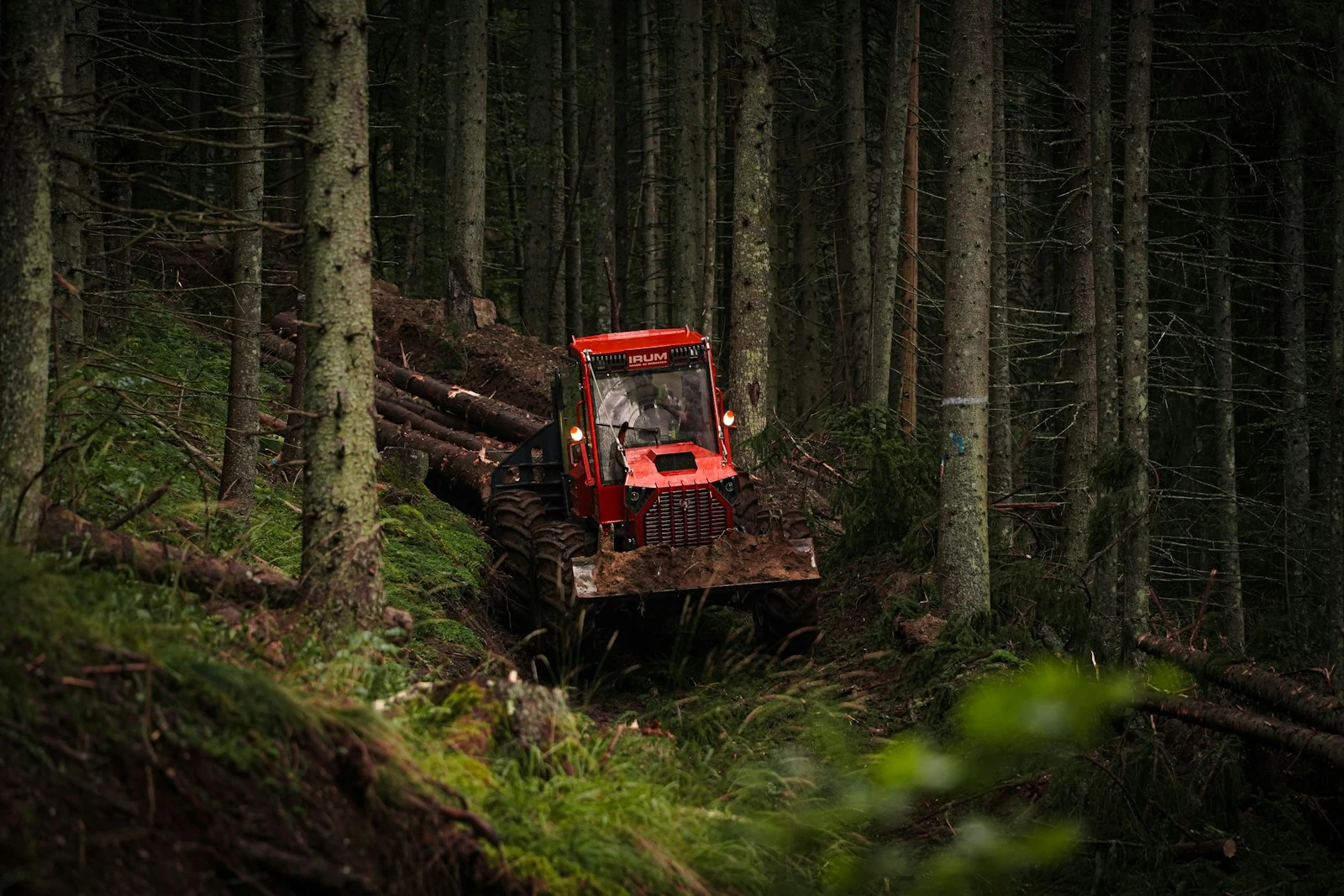 Large forestry mulching equipment working on a hillside land clearing project