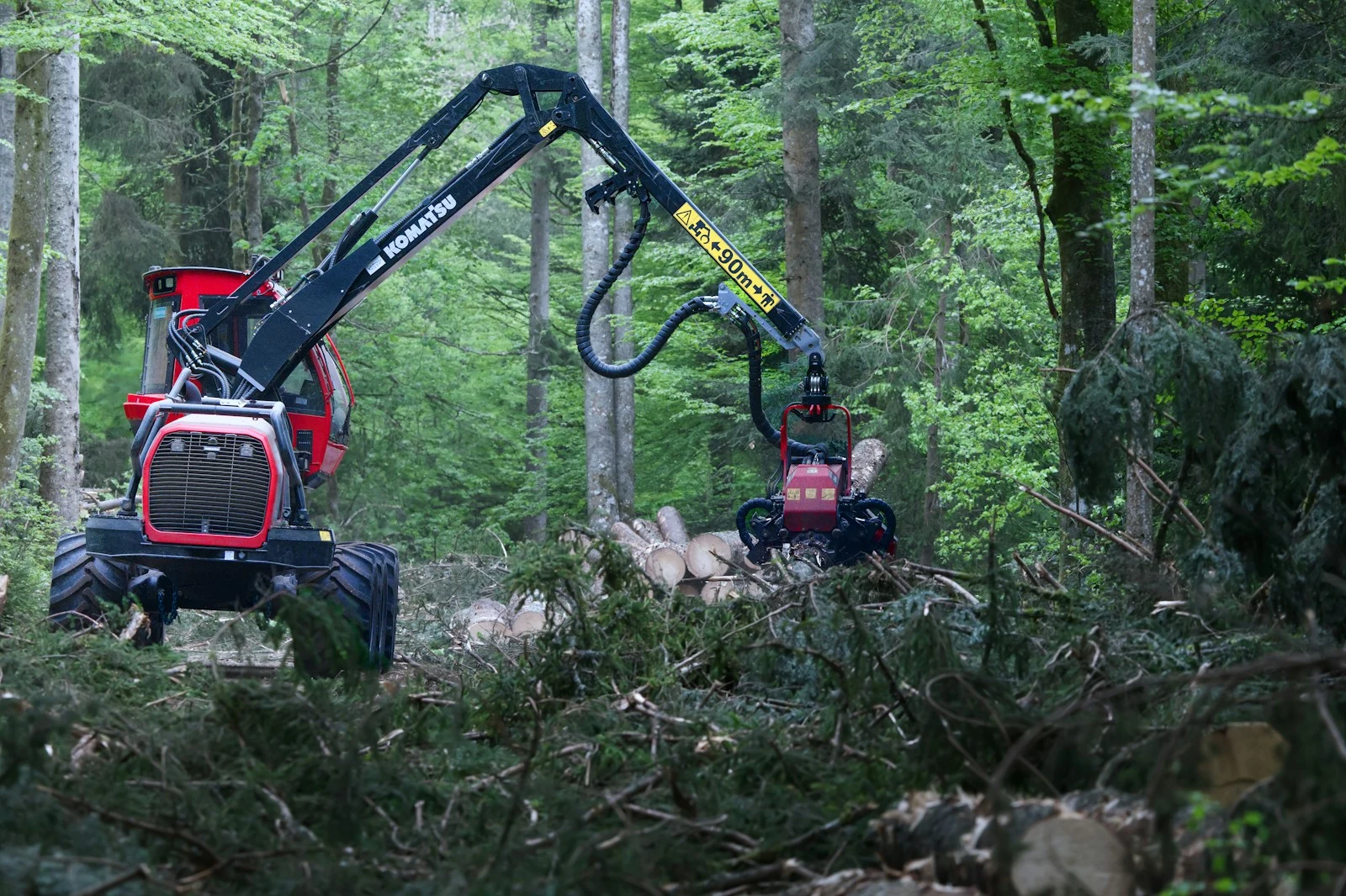 Logging machine operating in a dense forest clearing invasives
