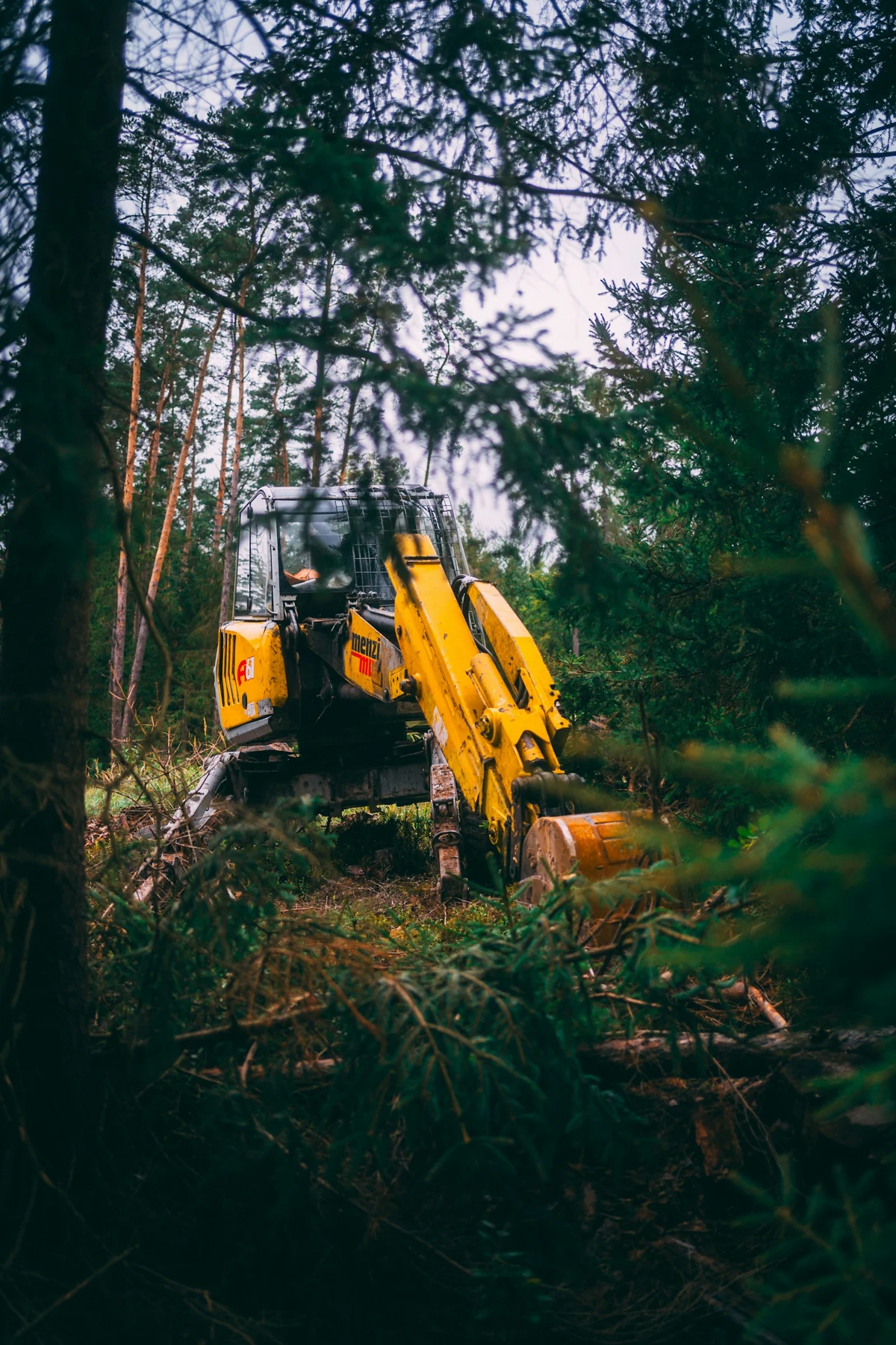 Yellow bulldozer sitting in the middle of a forest for forestry mulching