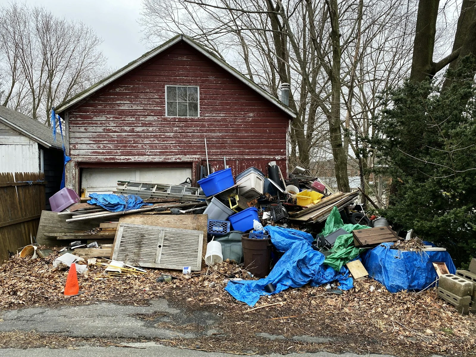 Clean yard with no debris after professional cleanup