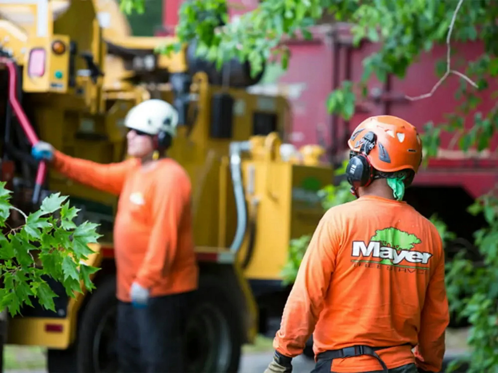 Tree crew operating heavy machinery on a job site