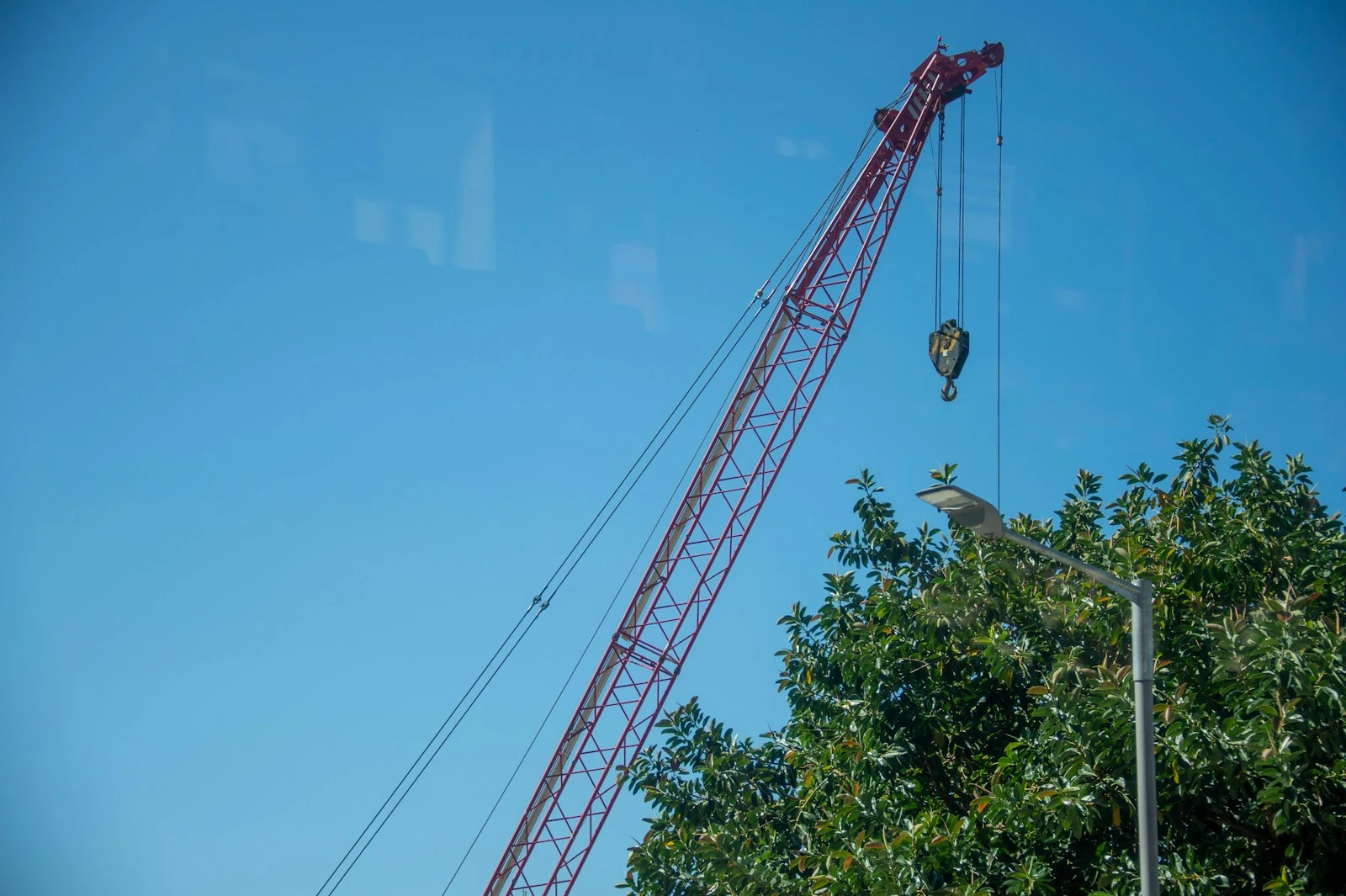 Crane rigging lifting a tree from a tight residential space