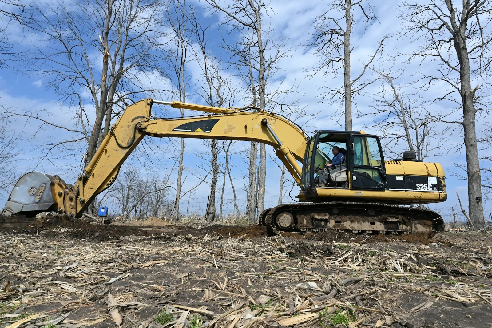 Overgrown commercial land before clearing — Daytona Beach development site