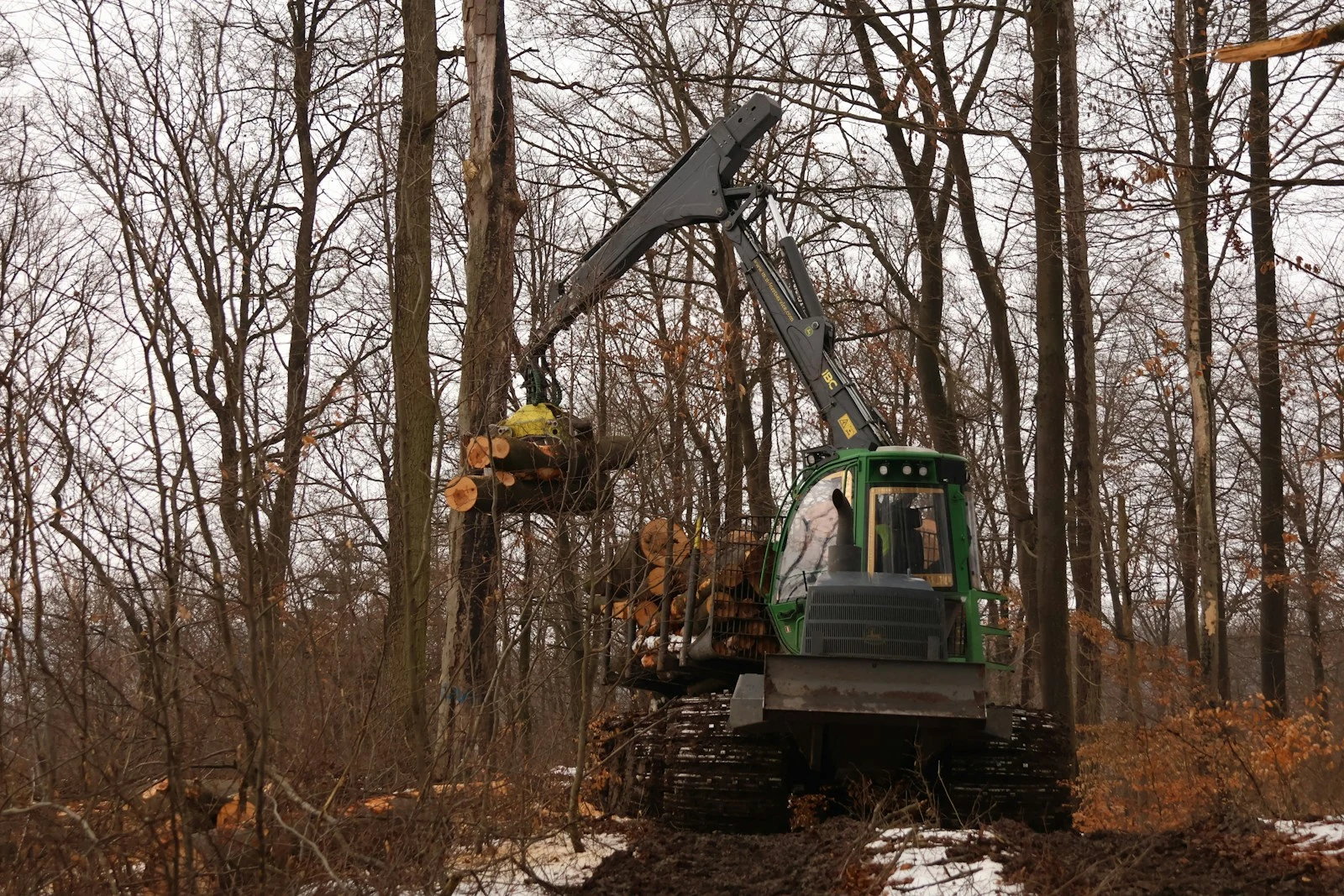 Forestry mulching machine processing logs and vegetation in a forest clearing