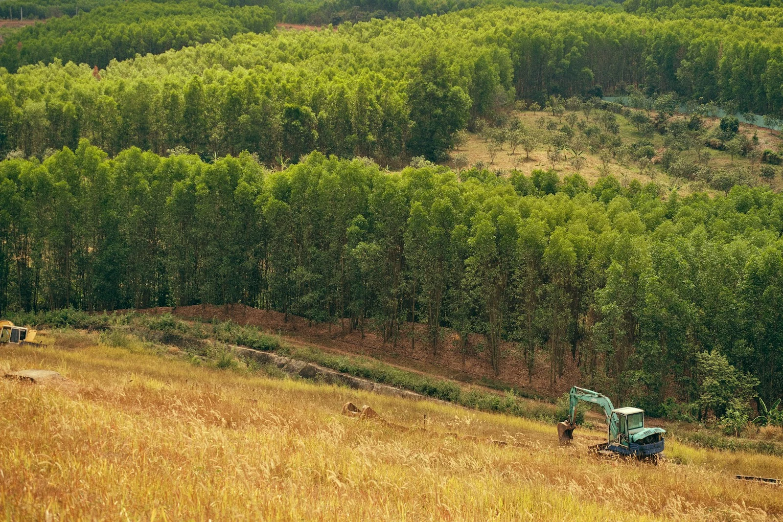 Green excavator performing land clearing and mulching on a grassy hillside