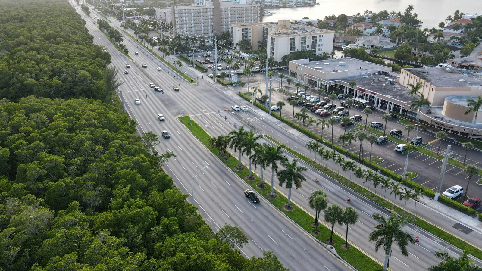 Cars on the road near Daytona Beach buildings
