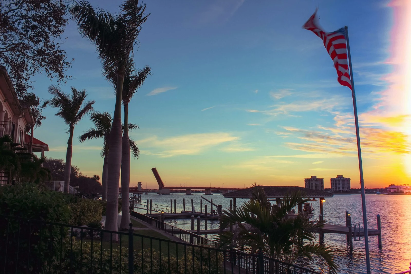 Palm tree near body of water during sunset in New Smyrna Beach