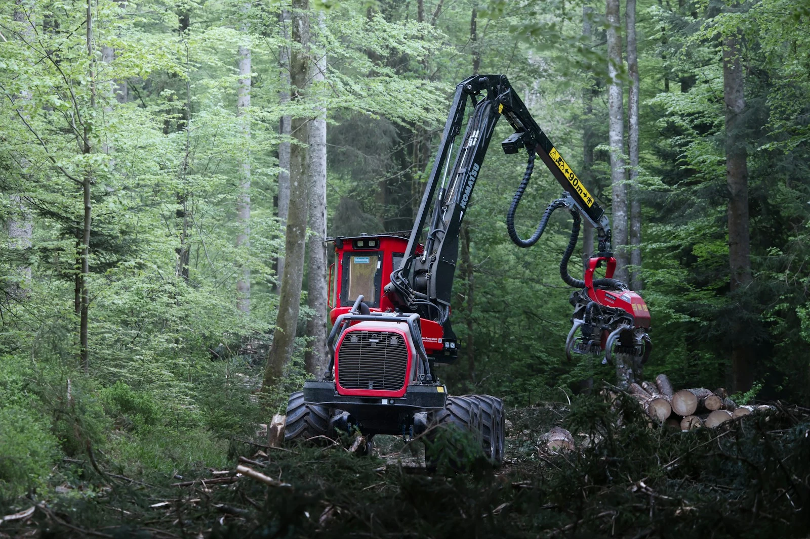 A red logging machine clearing brush and stumps in a dense forest