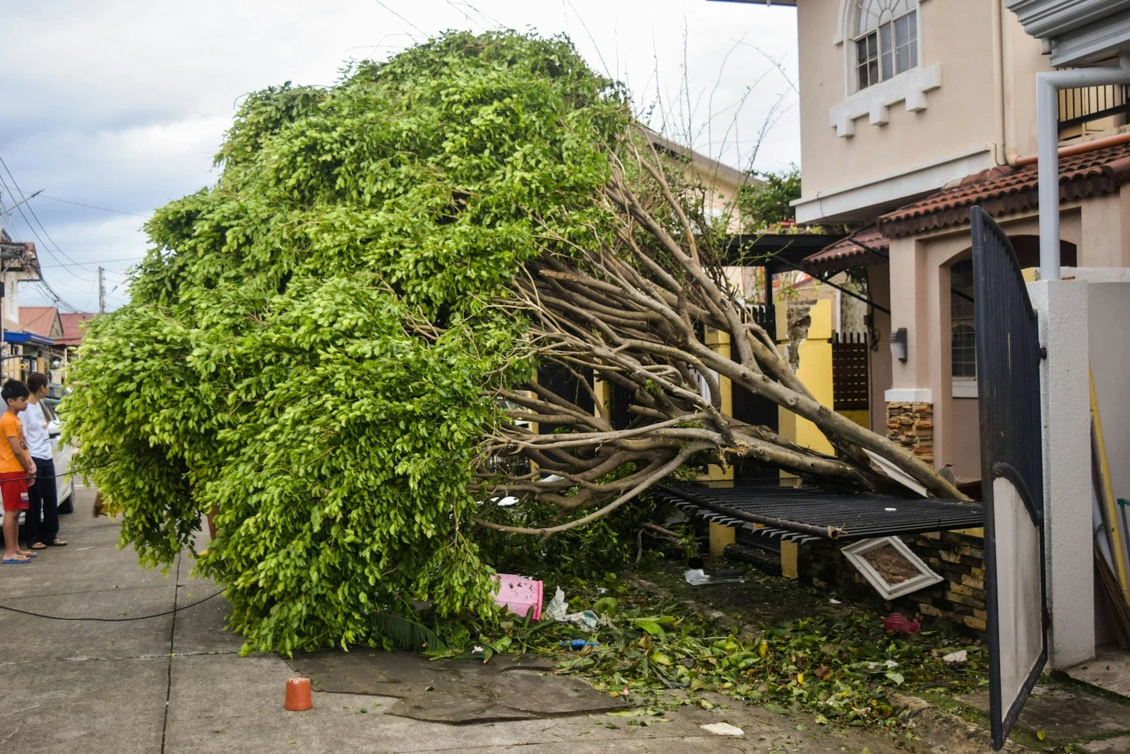 Yard buried in storm debris after tropical storm in Deltona FL