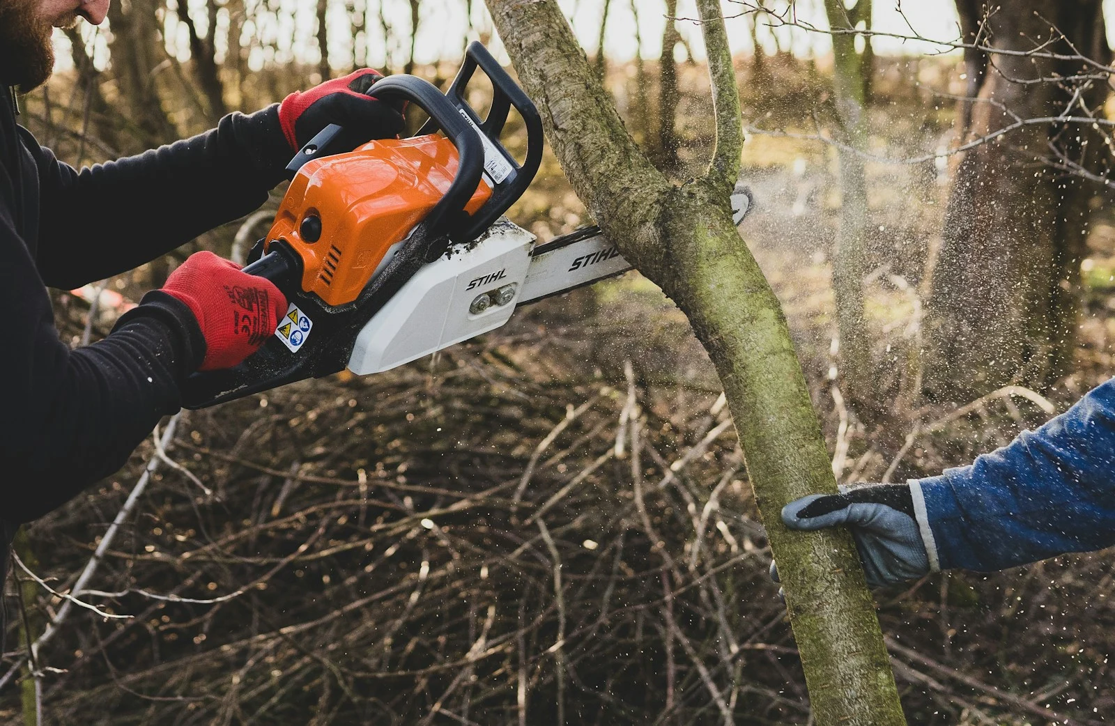 Professional arborist cutting a tree with a chainsaw