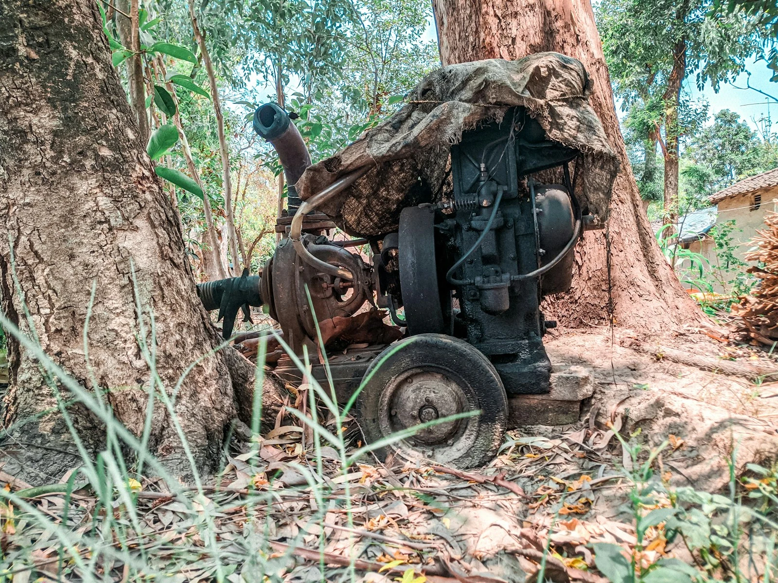 Large tree stump being ground down by professional equipment