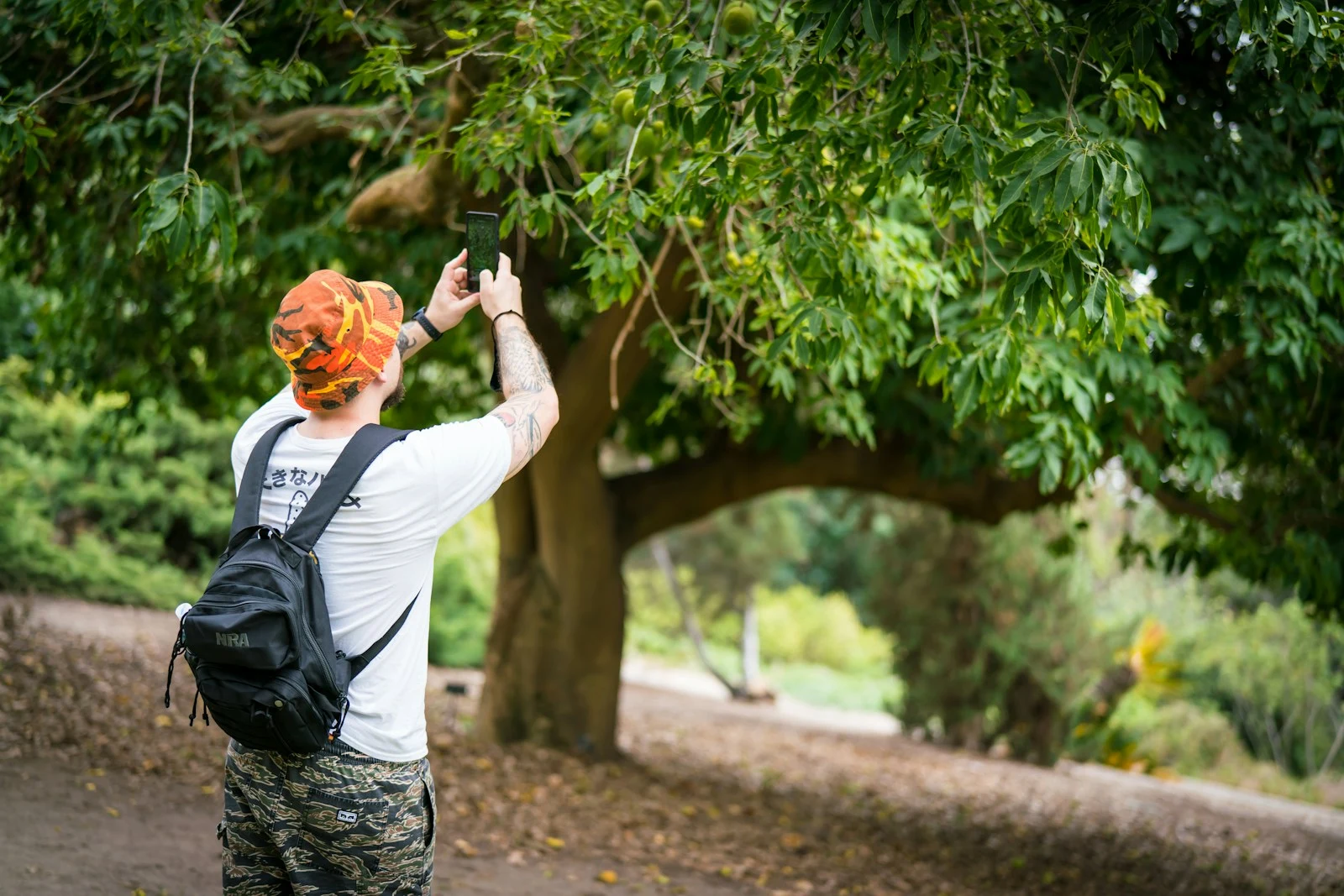 ISA-certified arborist in safety vest reviewing tree assessment documentation