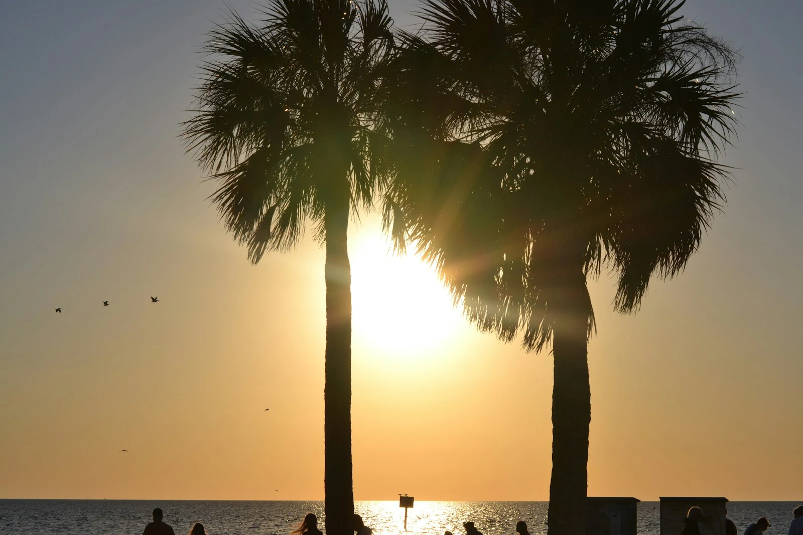 Angela M. from Daytona Beach (Mainland)